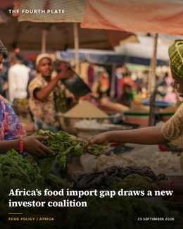 Two women exchanging fresh vegetables at a bustling West African market stall