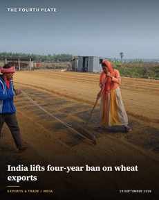 Two people raking golden grain on a large outdoor drying floor in rural South Asia