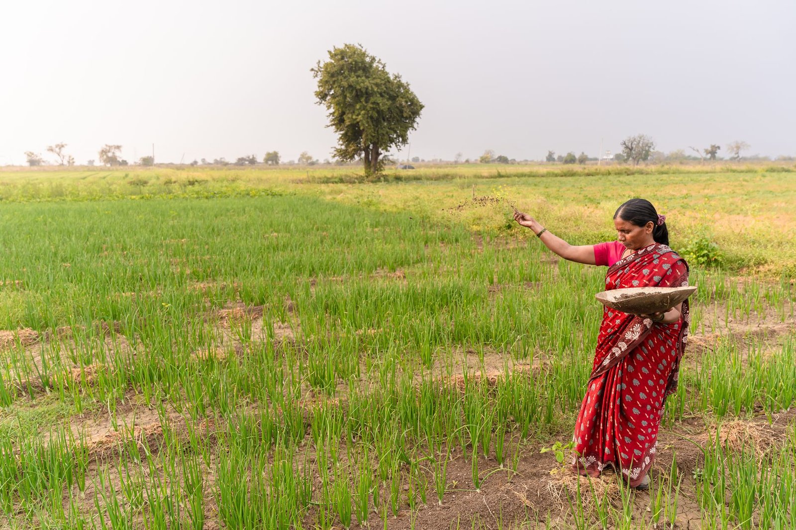 farmers in india