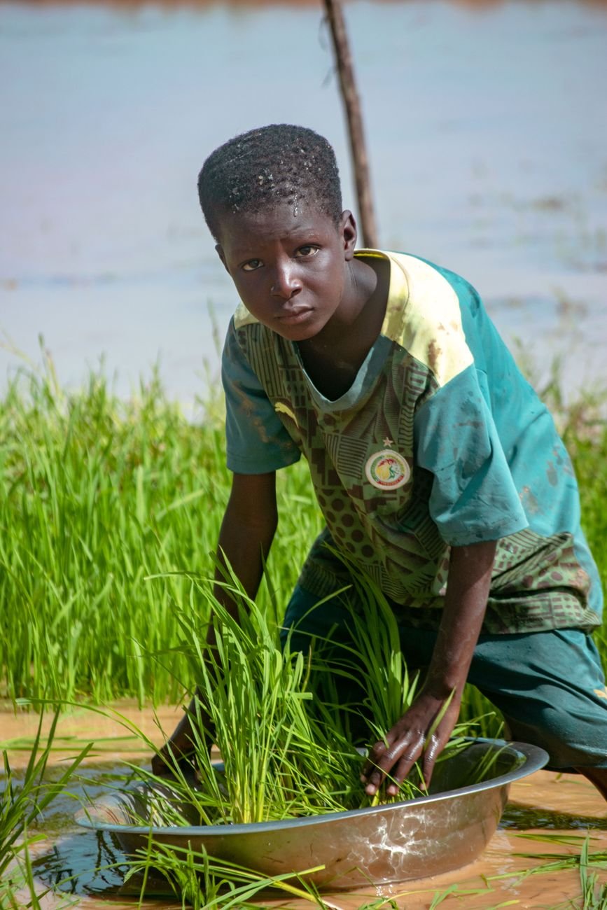 boy working in rice field with water basin
