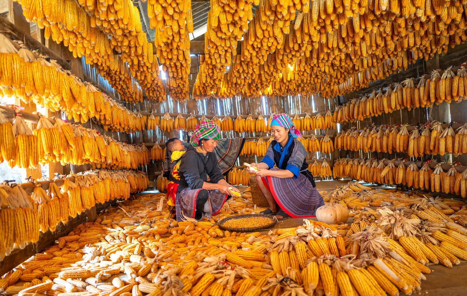 traditional corn storage and preparation indoors