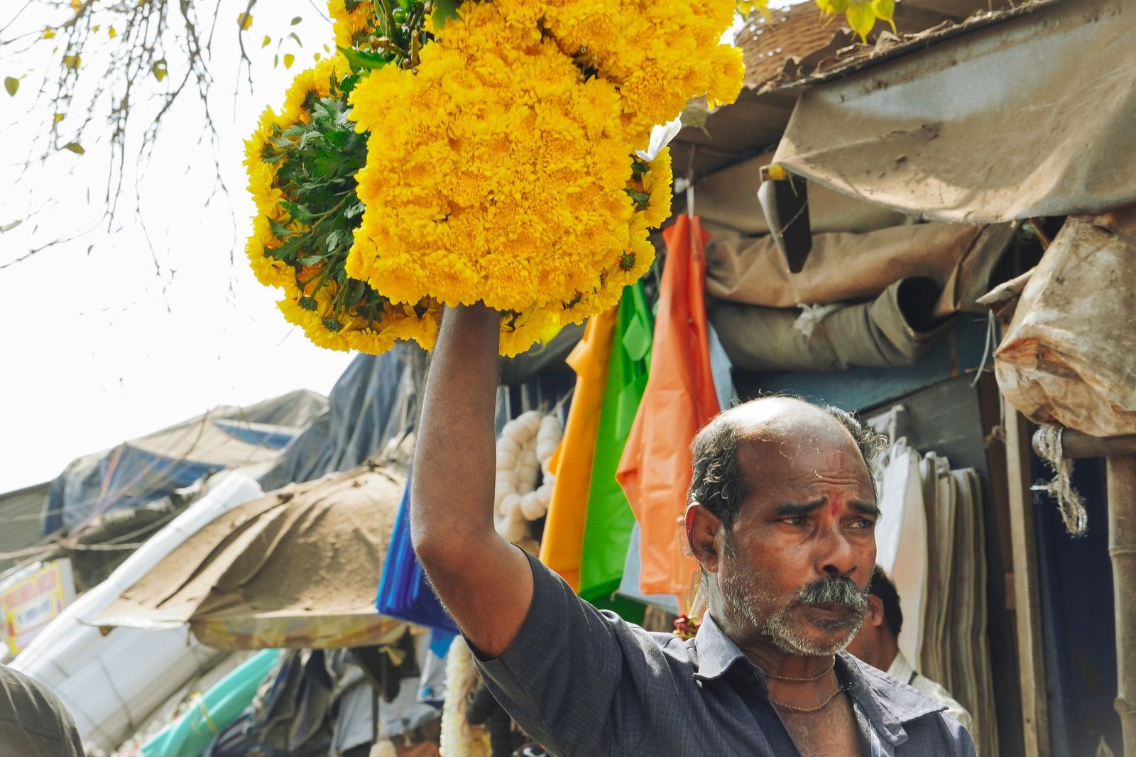 indian flower vendor carrying yellow marigolds