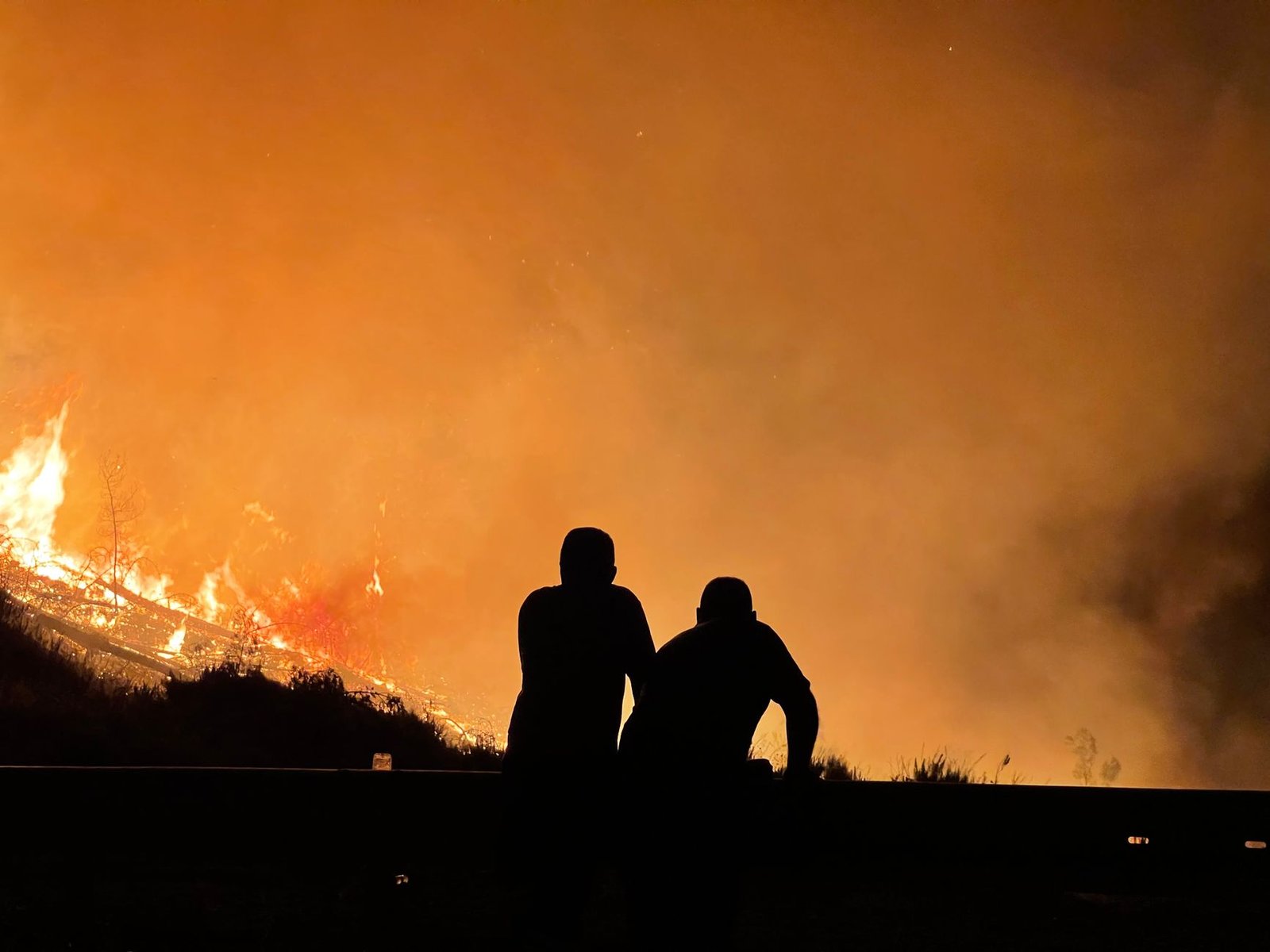 people standing near a bushfire