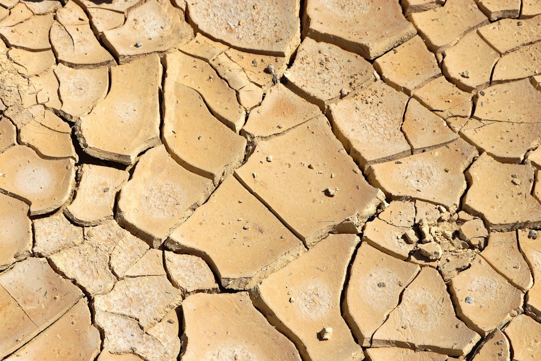 Cracked, drought-stricken soil