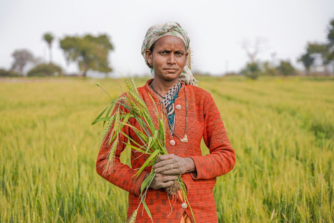 Farmer standing in a wheat field in rural India