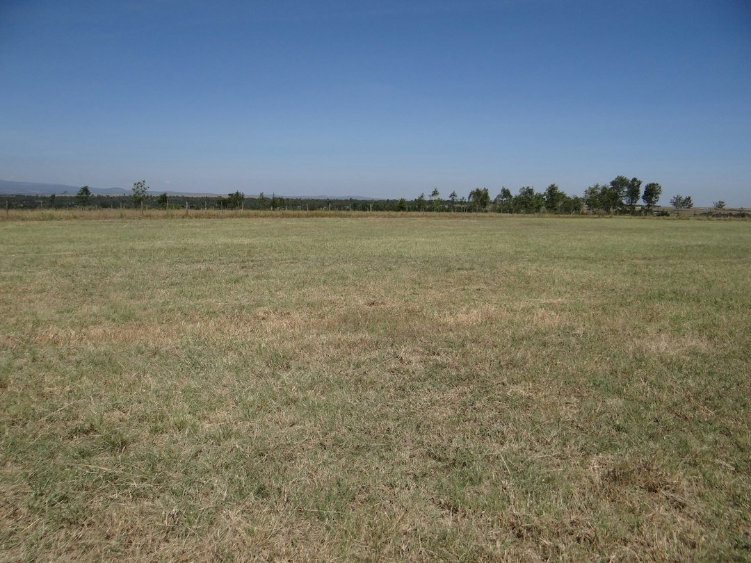 Farmland with scattered trees near Nairobi, Kenya