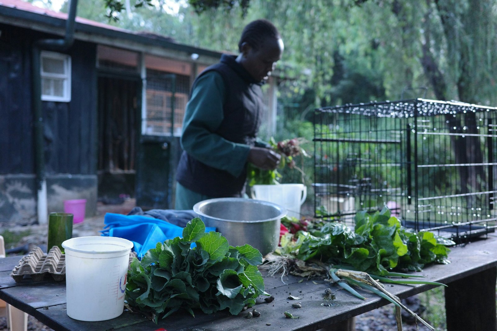 A person preparing fresh vegetables harvested from a smallholder farm