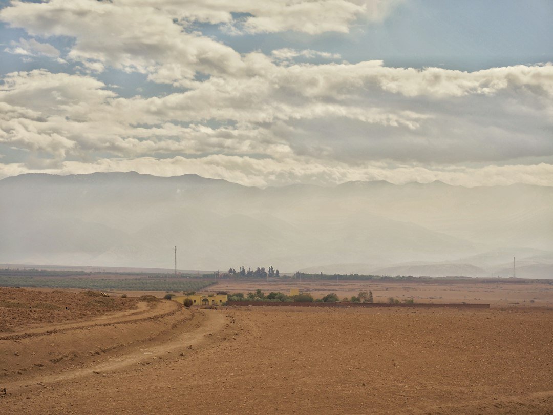 Dirt road through a field with the Atlas mountains in the background, Morocco