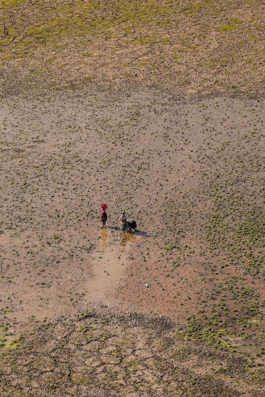 aerial view of a wetland