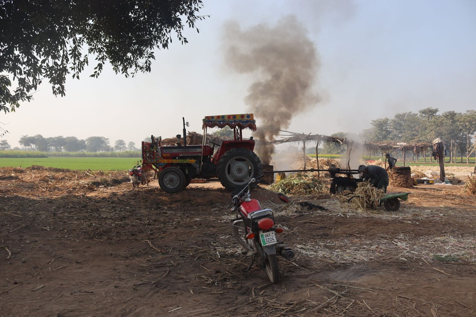 traditional sugarcane juice extraction in rural field