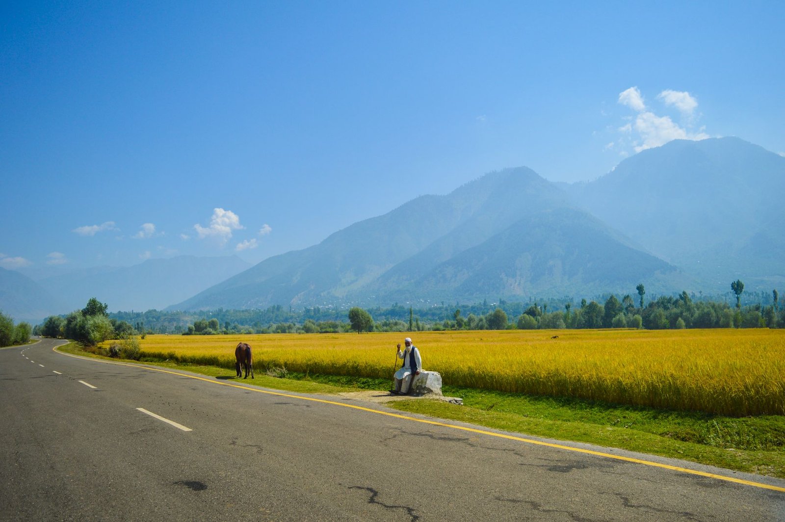 scenic rural landscape with mountains and fields