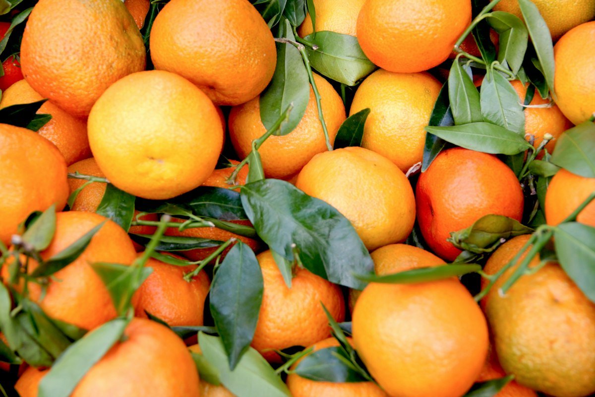 A bunch of fresh orange fruits