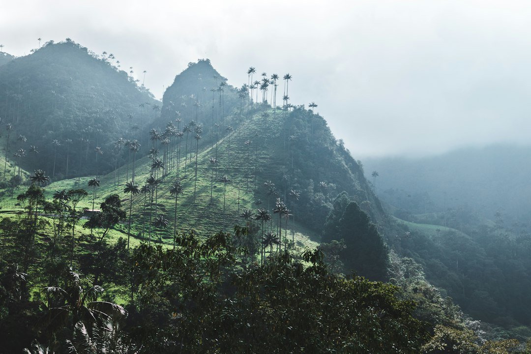 Green mountain valley in Colombia's coffee region