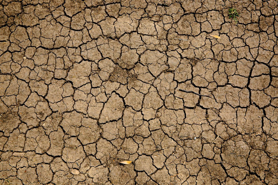 Dry earth with deep cracks