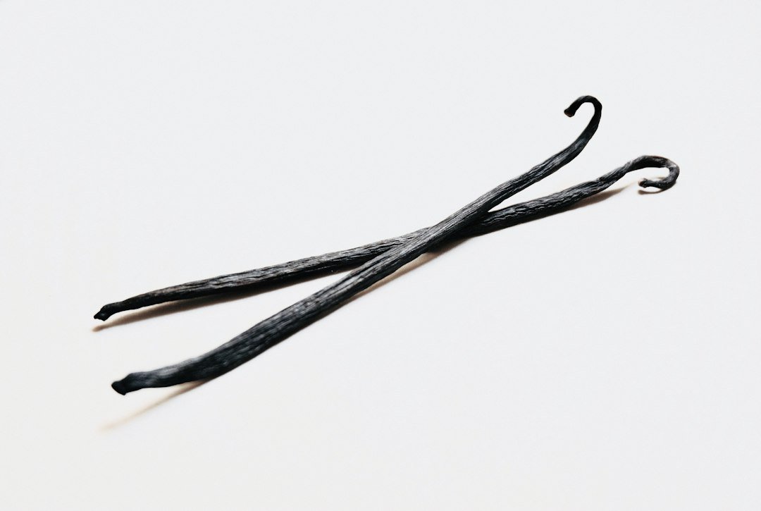 Close-up of vanilla pods