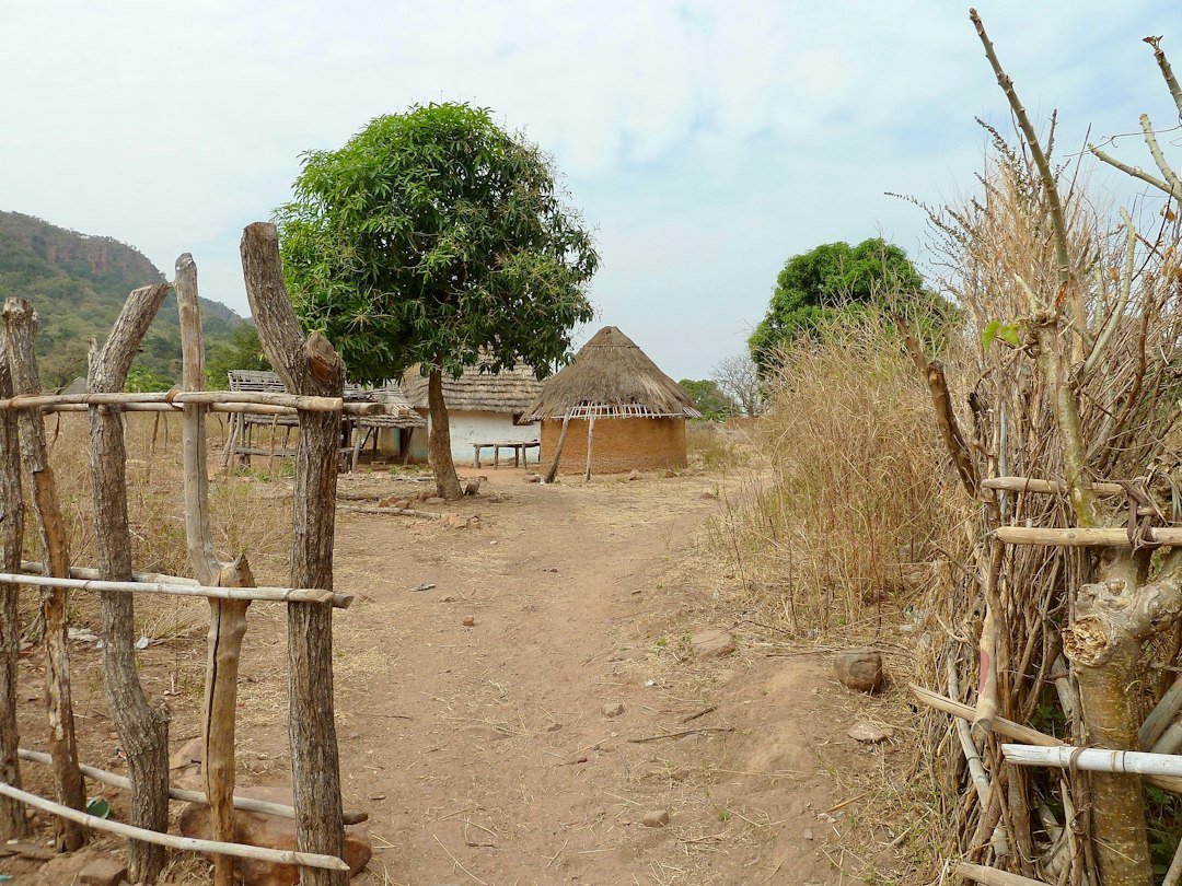 Village houses near trees in West Africa