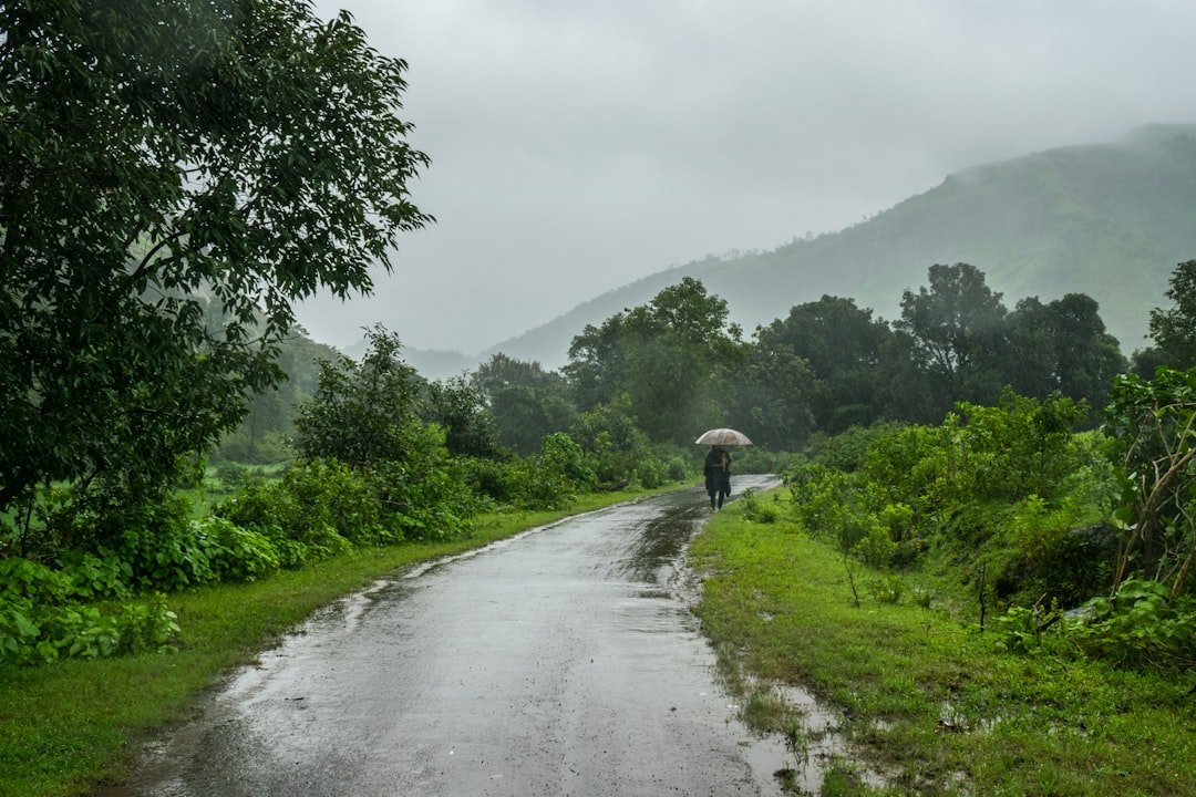 Monsoon road in Maharashtra, India