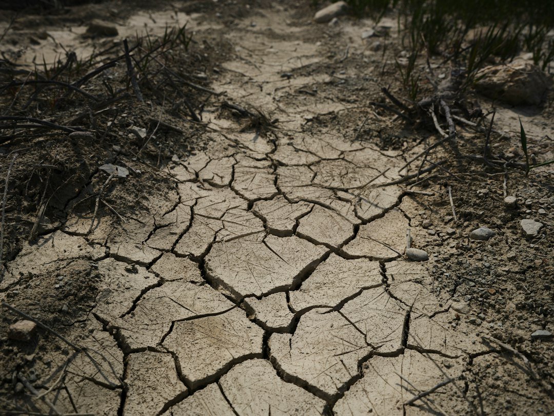 A dirt road with cracks in the ground