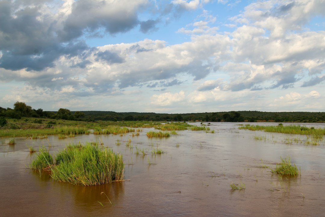 River in flood