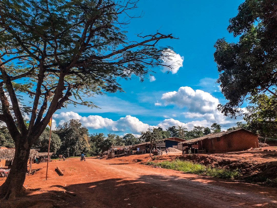 A dirt road with trees on either side in a Cameroonian village