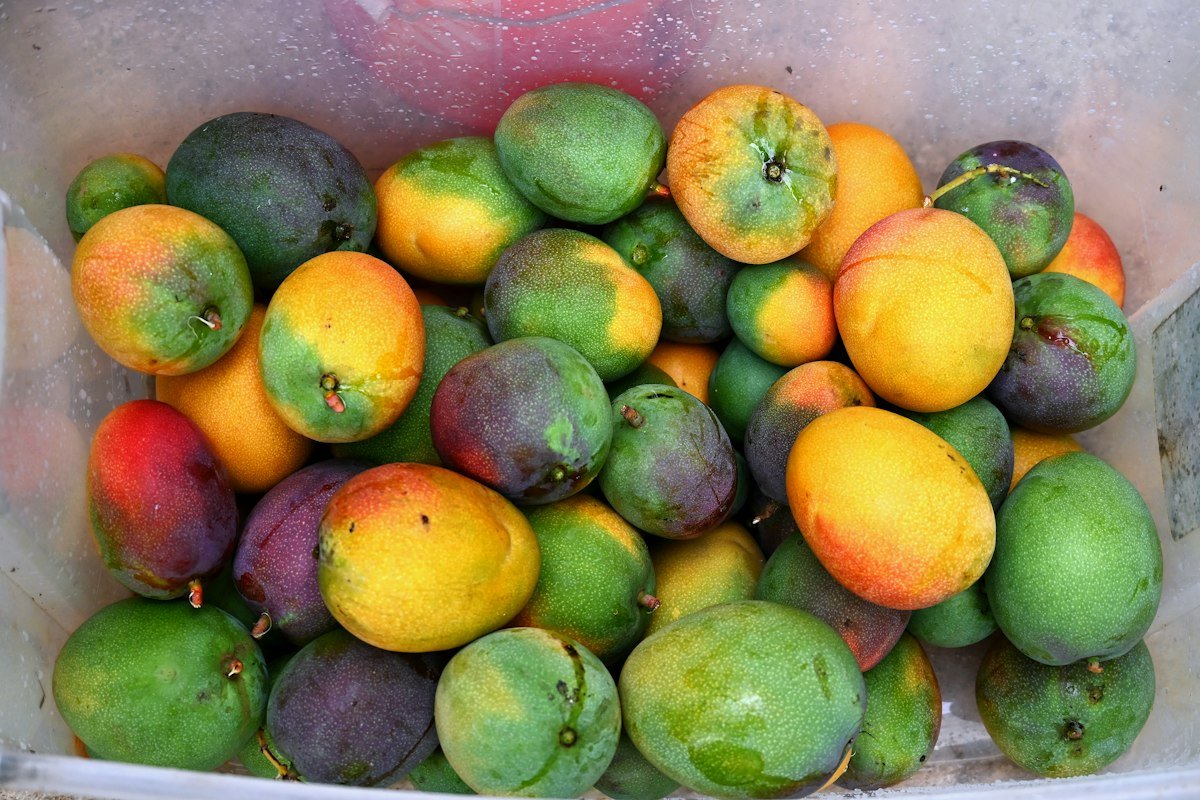 A box of colorful Caribbean fruit