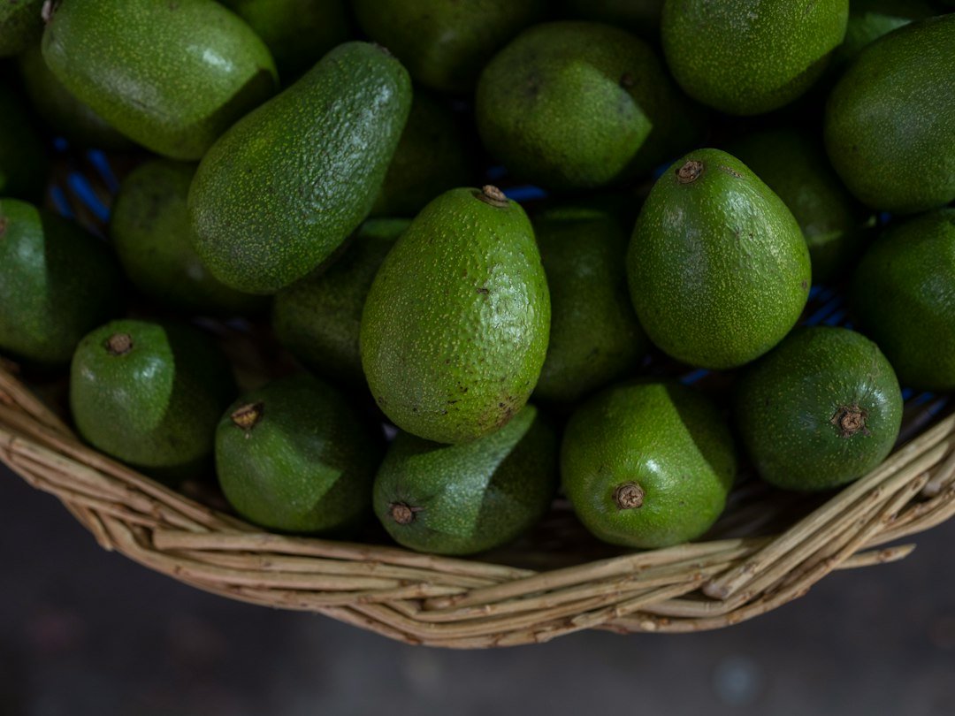 Basket of fresh avocados