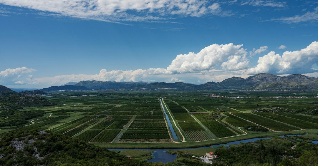 Aerial view of a field with a river running through it