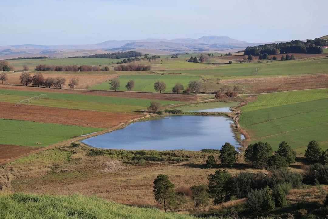 A fish pond landscape