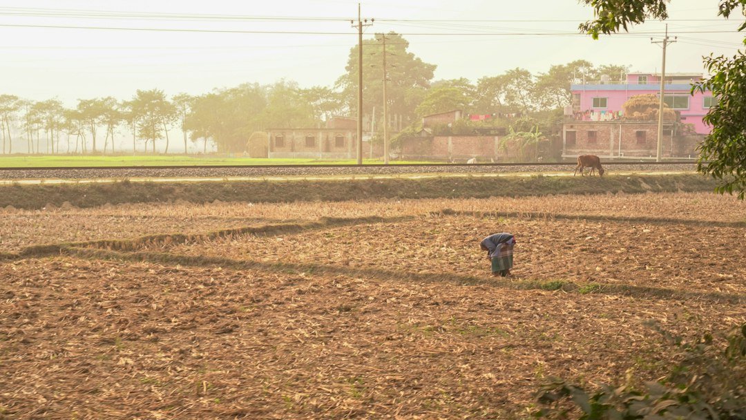 A farmer working in a field in rural Bangladesh