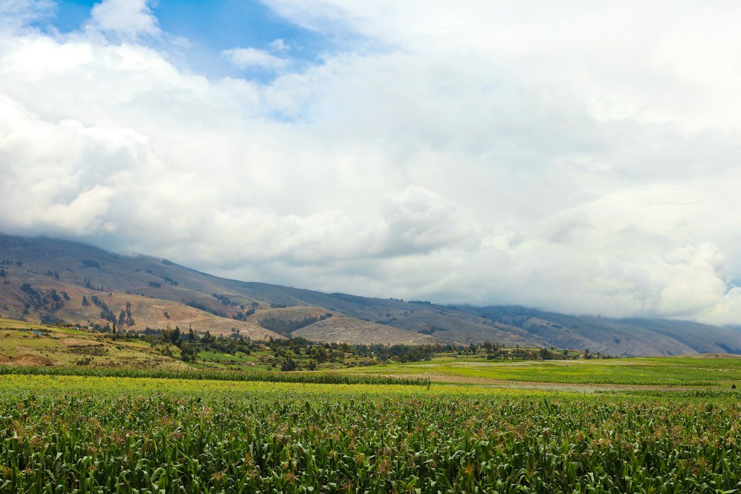 Green fields stretch towards distant, cloudy mountains in Peru