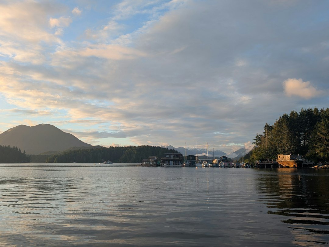 Coastal landscape with forested islands, distant mountains and waterfront structures