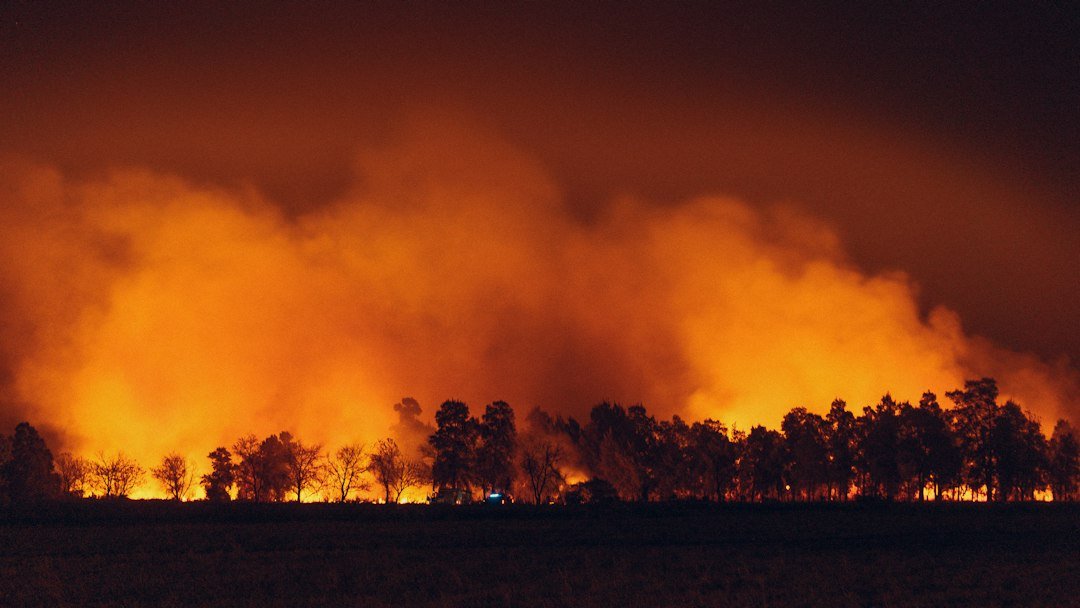 A large wildfire burning in a field next to a forest