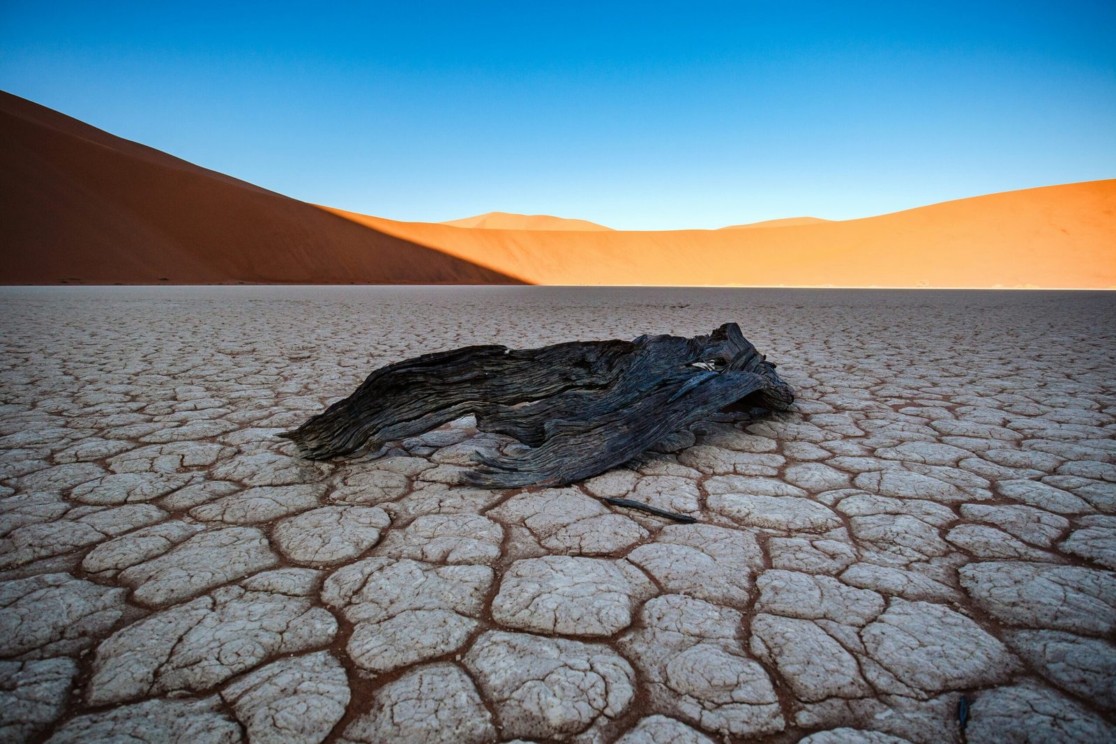 Cracked, drought-affected desert ground