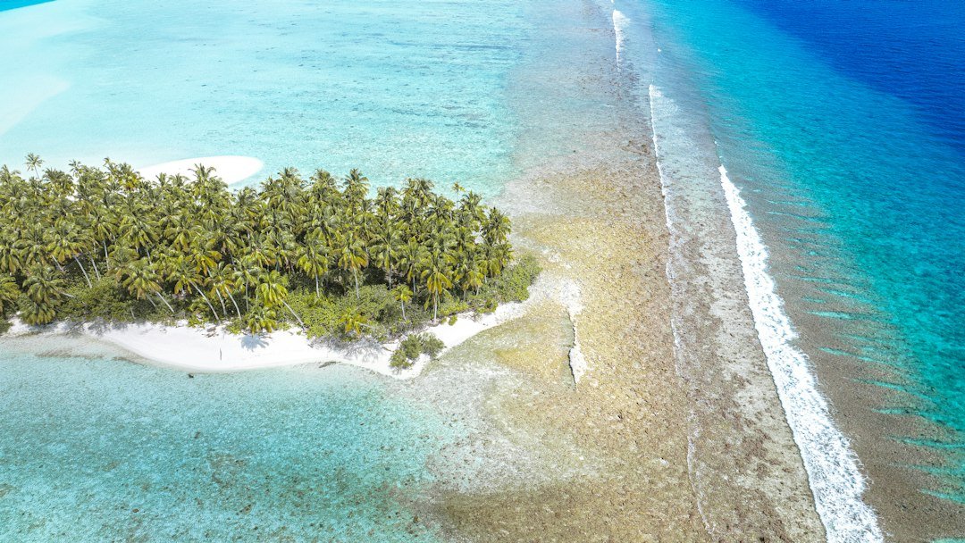 Aerial view of a tropical atoll with palm trees and a white sand beach