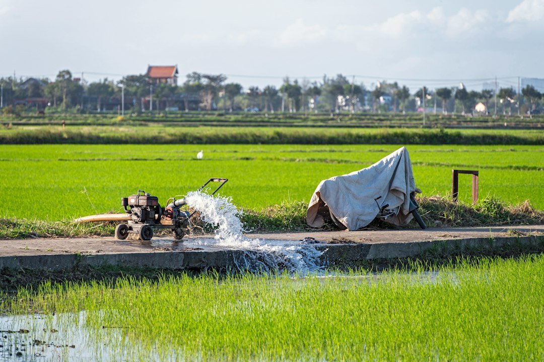 A tractor sprays water onto a rice field in Hue, Vietnam