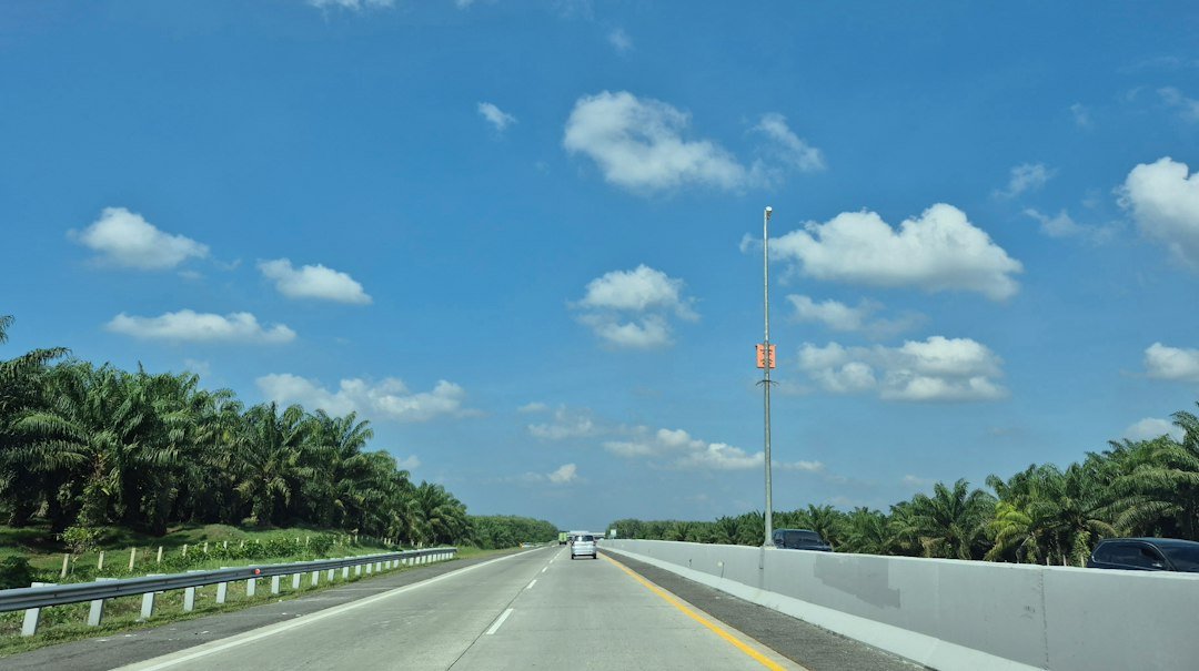 A road through a palm oil plantation in Indonesia